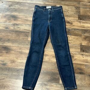 Everlane The way high skinny jean size 27R